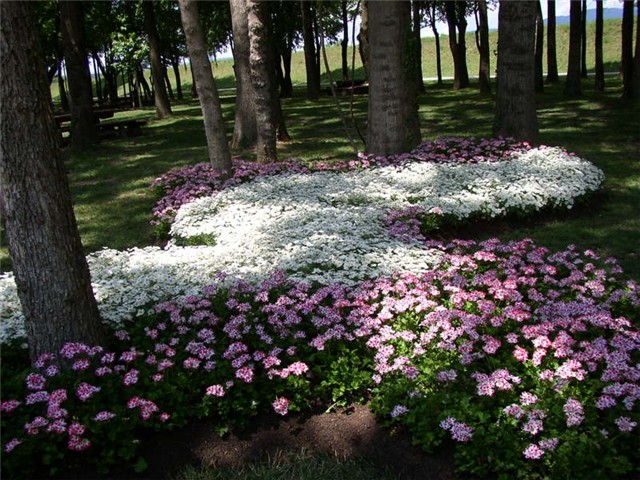 Flora Art Zagreb