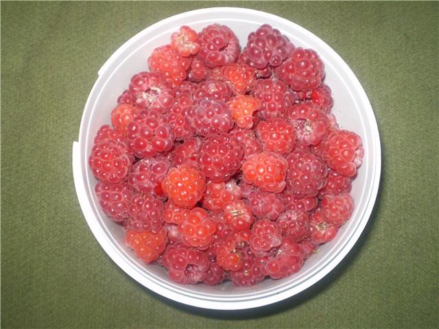 maline 2