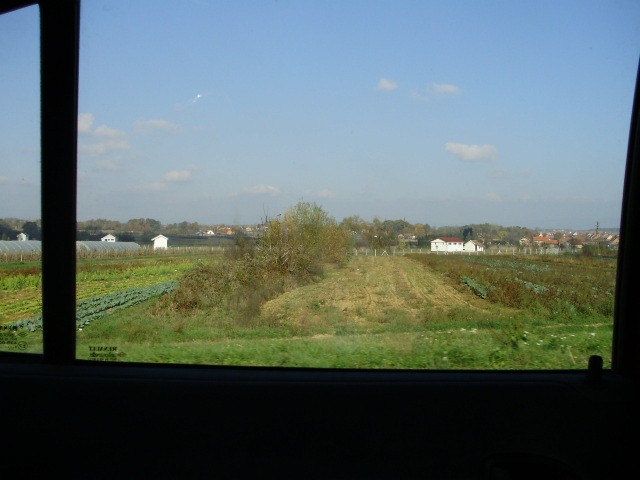 Požega