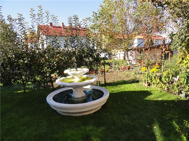 cvijet
