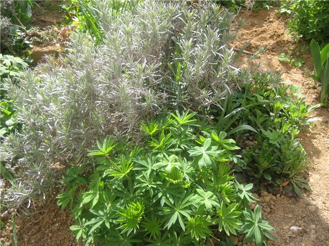 Od svega pomalo