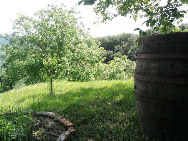 baćva