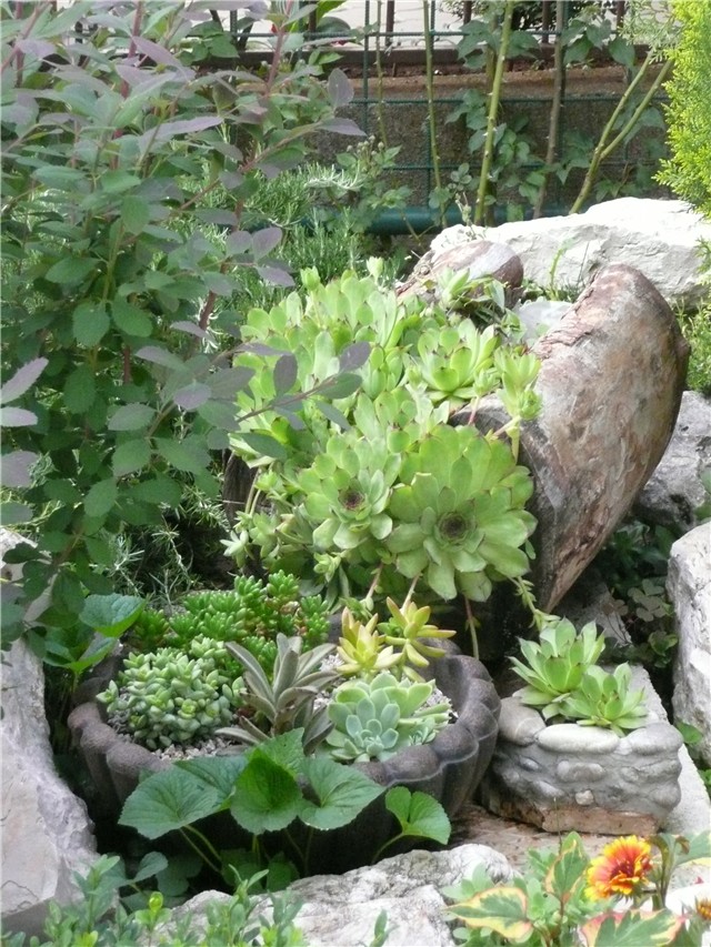 detalj kamenjara