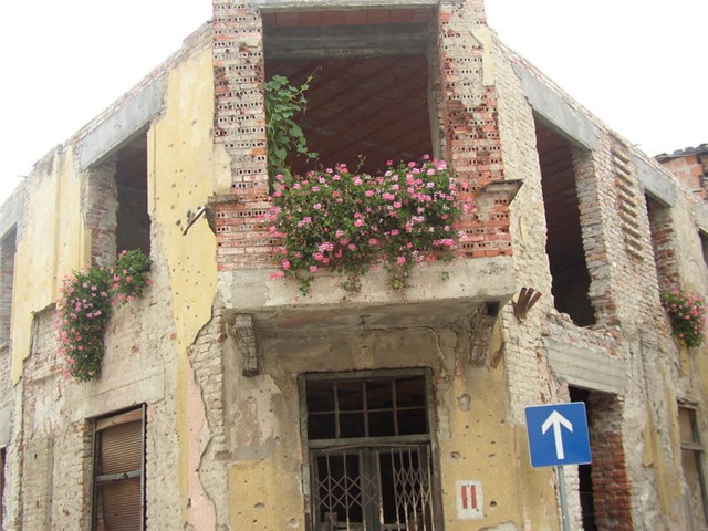 Vukovar cvijece