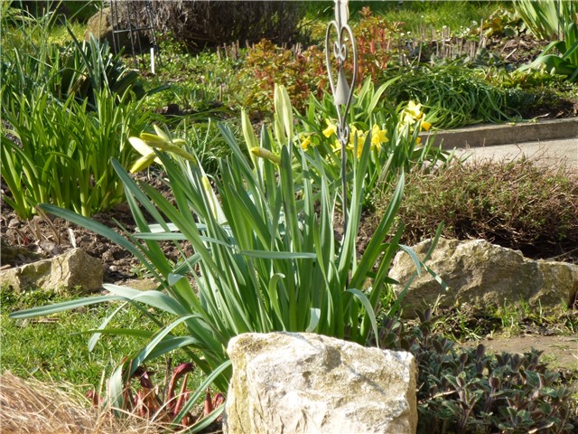 Vrt u proljeće 2016