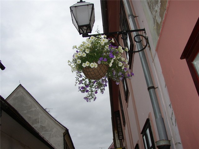 SlikeVarazdina