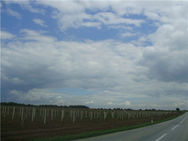 Vukovar