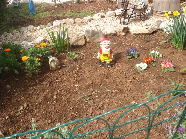 cvijeće