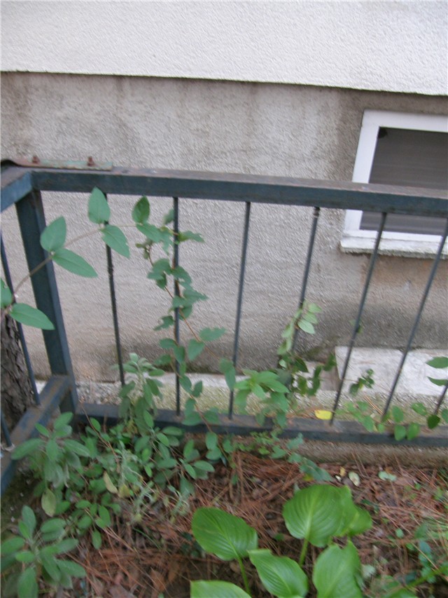 Moji vrtovi, moj okoliš