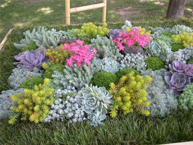Flora Art Zagreb