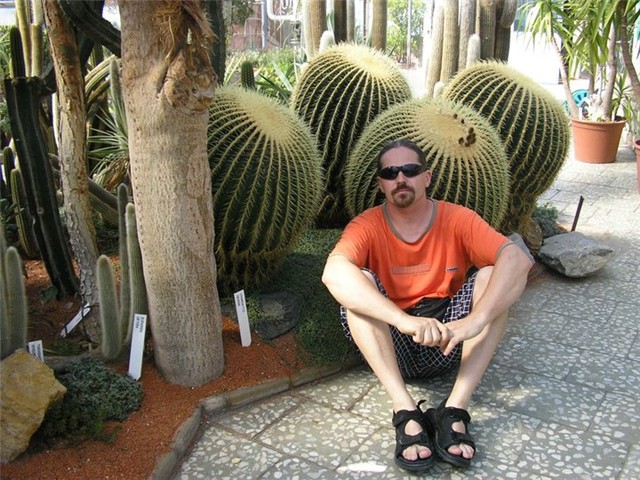 Cactus