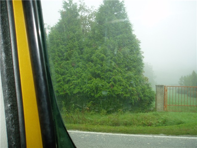 četinari