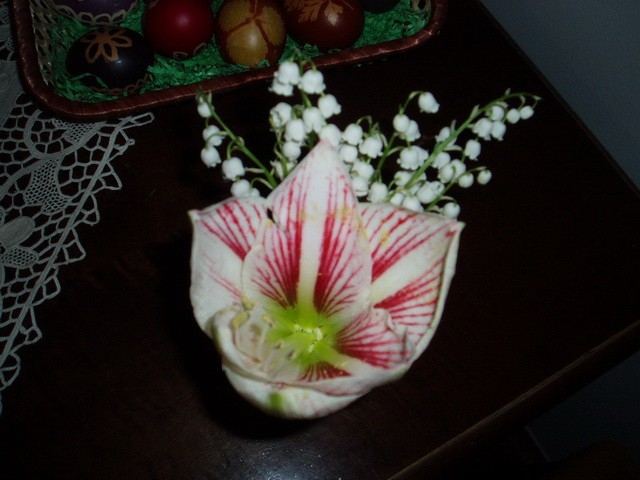 Moje cvijeće