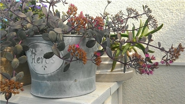 moj balkon
