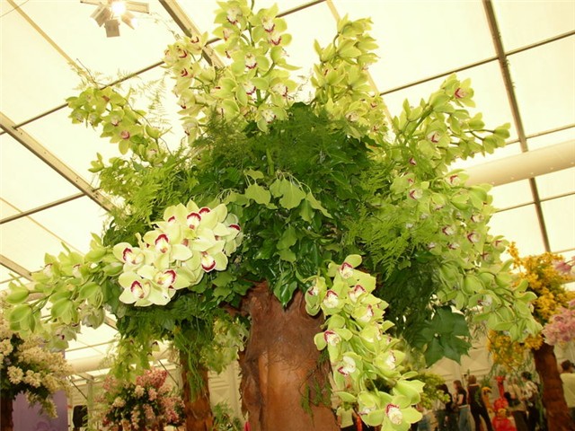 Flora Art Zagreb