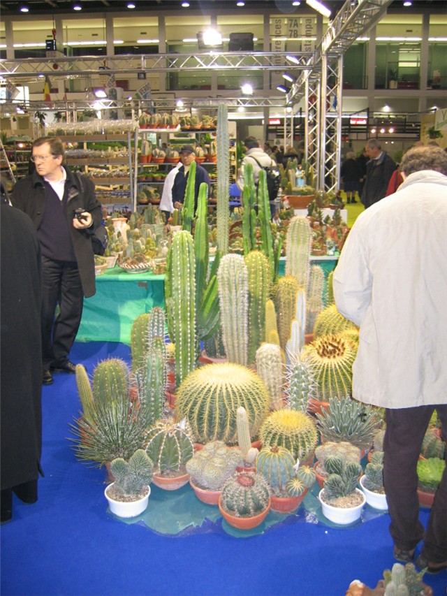 Padova 2006