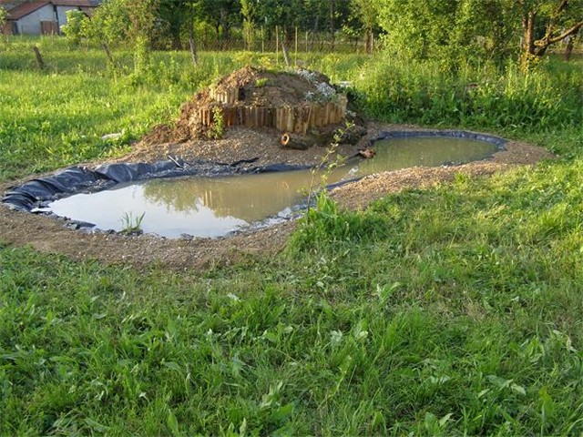 Vrtno jezerce1