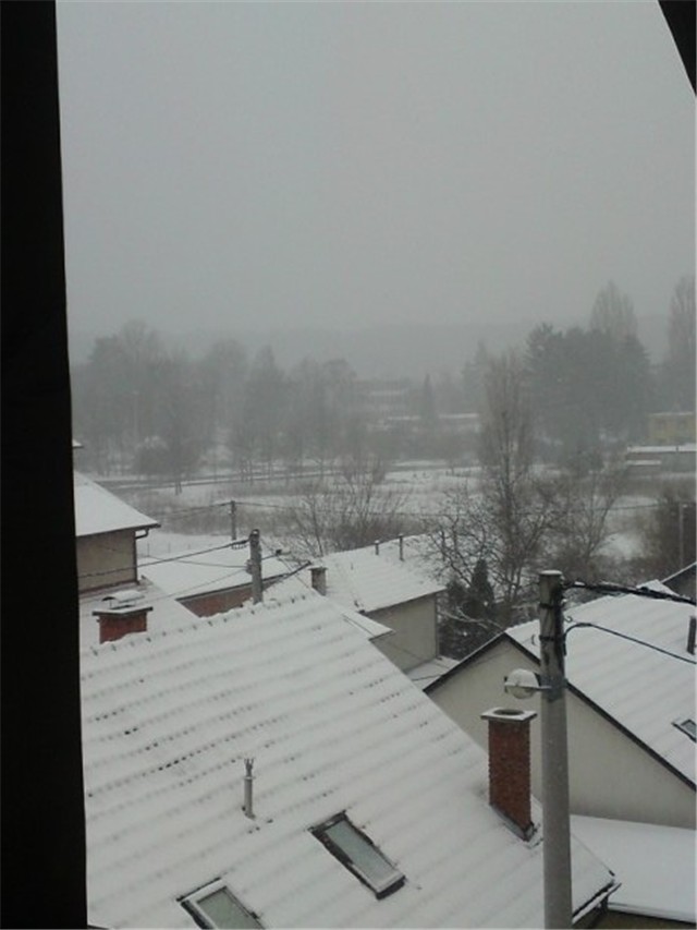 zg dubrava