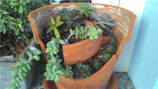 moj balkon