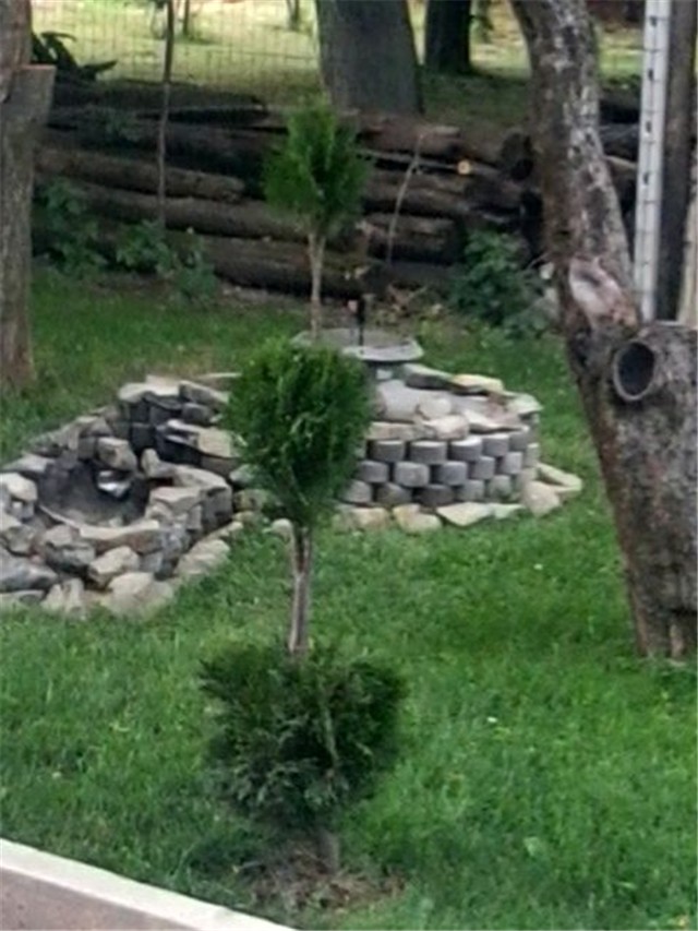 Moj vrt