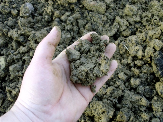 plastenik2