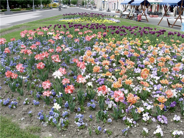 Koprivnica
