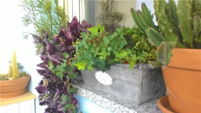 moj balkon