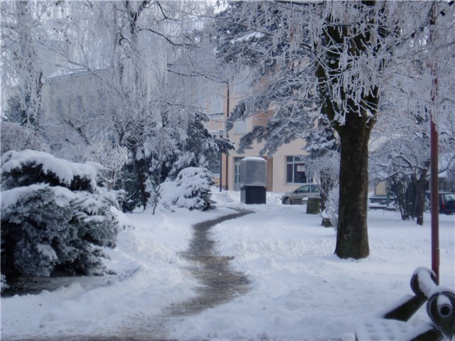 vrbovec