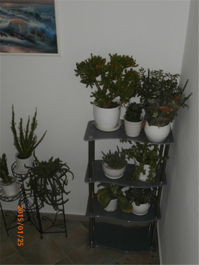 sklenti 3