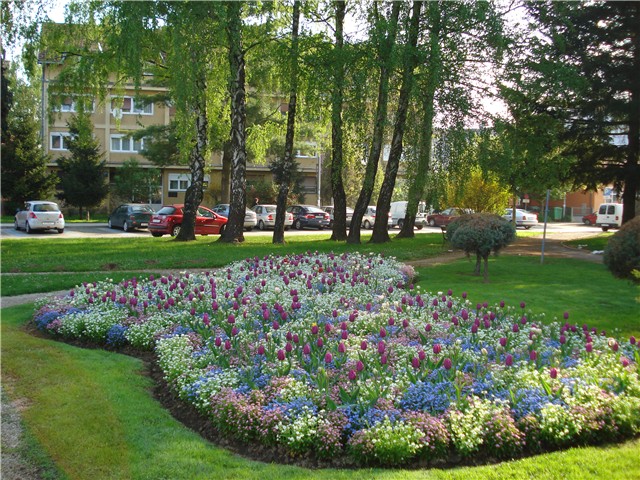 koprivnica