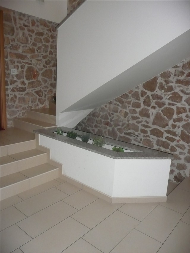 sukulenti