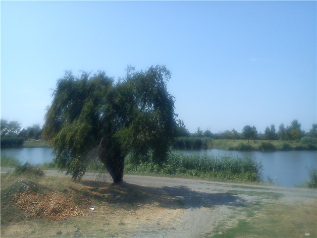 Kutina, jezero Bajer