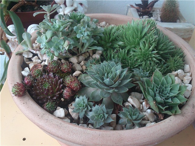 moj balkon