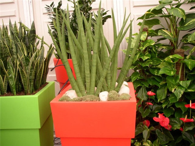 Flora Art Zagreb
