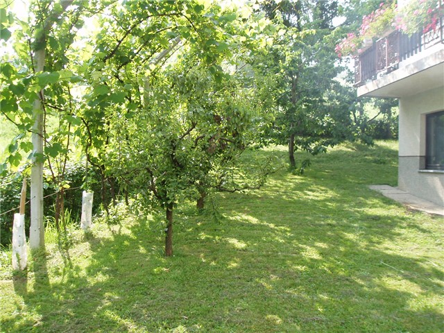 stari vocnjak