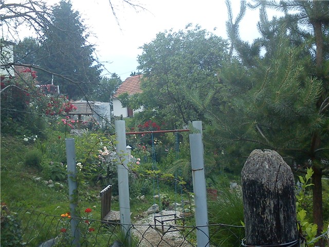 dvorište
