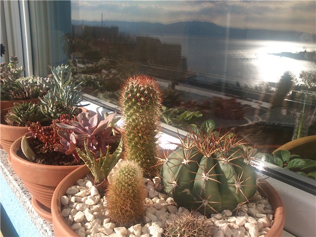 moj balkon