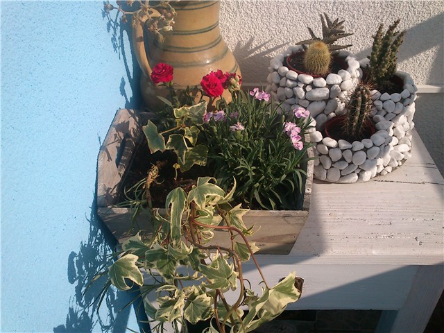 moj balkon