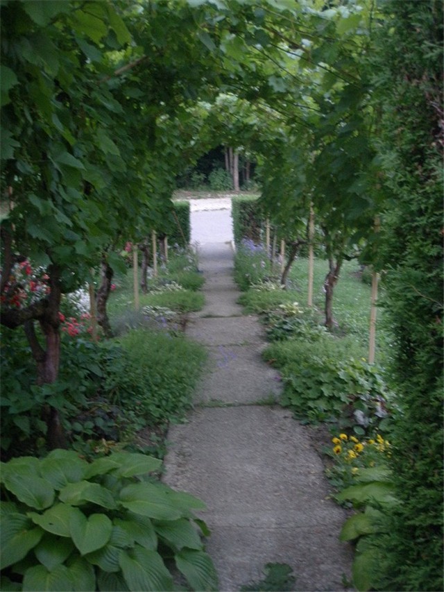 brajda staza ljeto