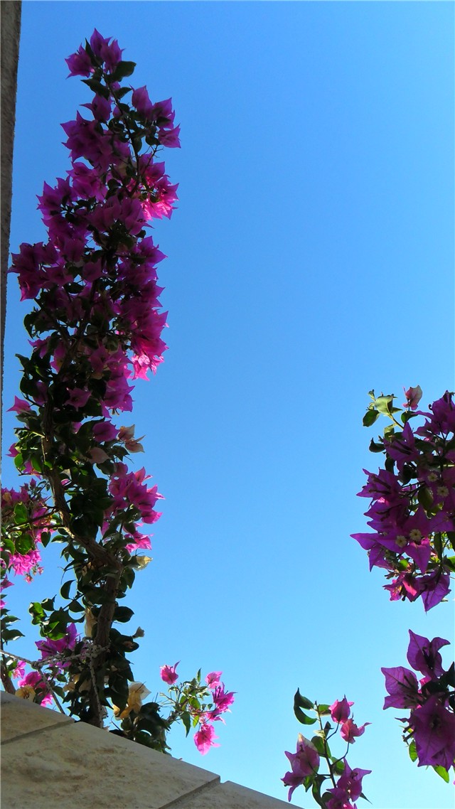 Brač 10.096.2011