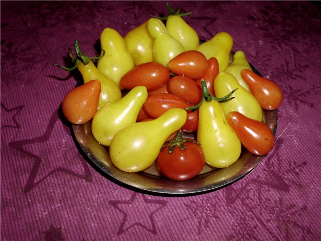 paradajzići