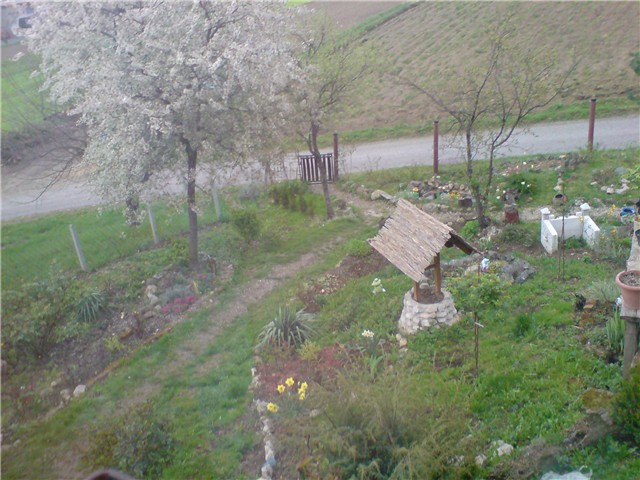 pogled