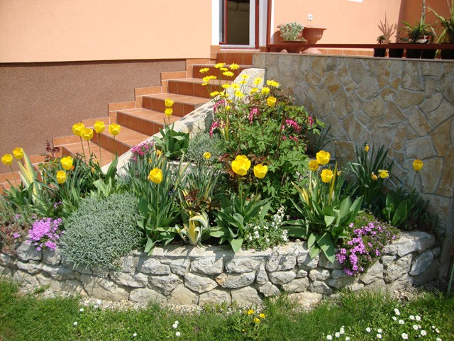 kamenjar