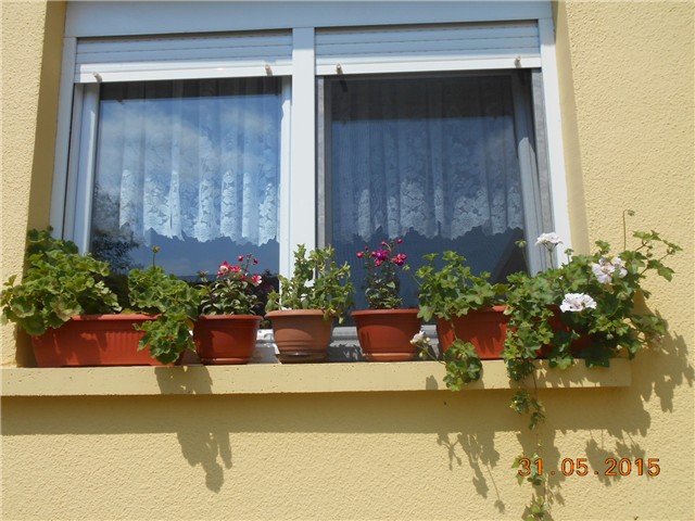 nove slike