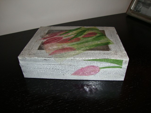 tulipan