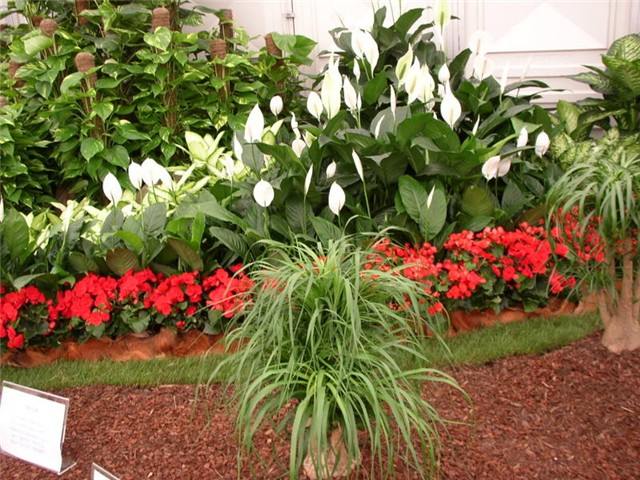 Flora Art Zagreb