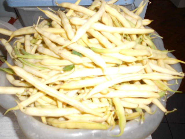 mahune berba