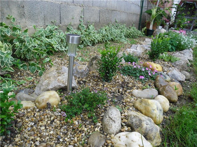 kamenjar