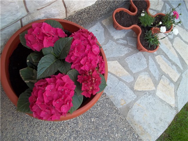 slike moga vrta