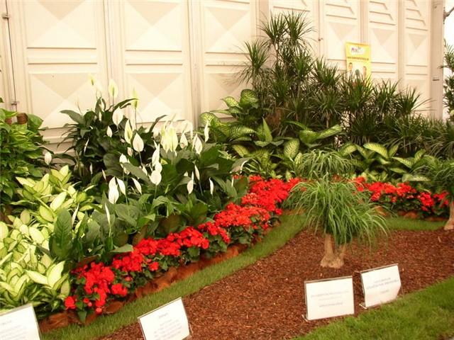 Flora Art Zagreb